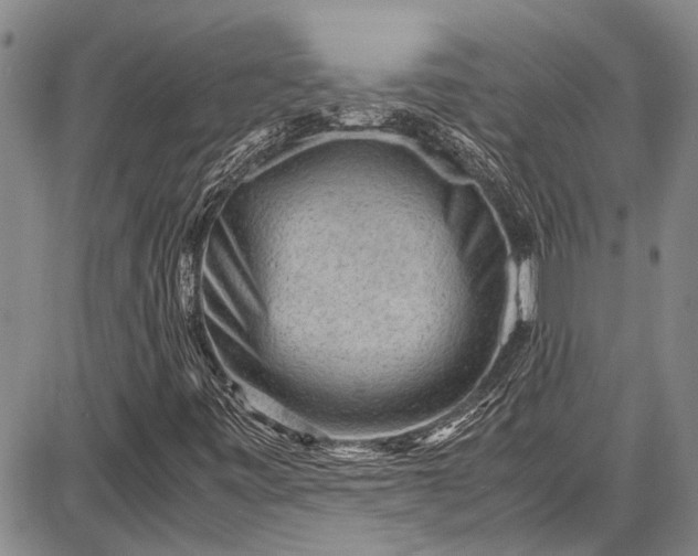 X0000087641443200705181513