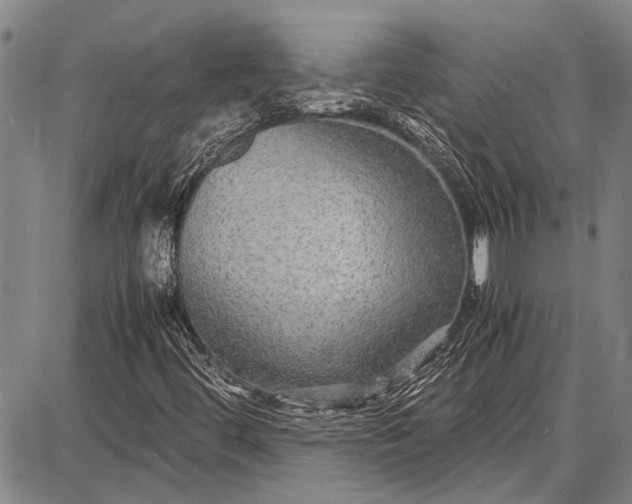 X0000087641444200705181513