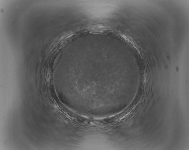 X0000087641445200705181513