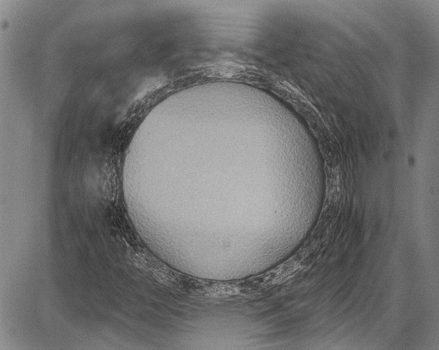 X0000087641446200705181513