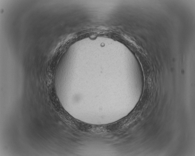 X0000087641447200705181513