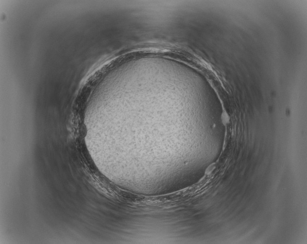 X0000087641448200705181513