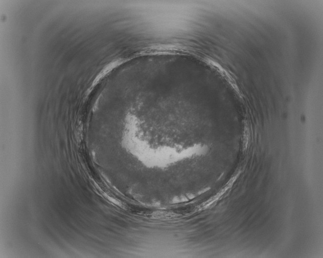 X0000087641449200705181513