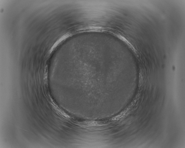 X0000087641450200705181513