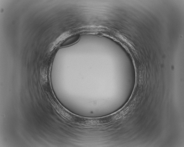 X0000087641451200705181513