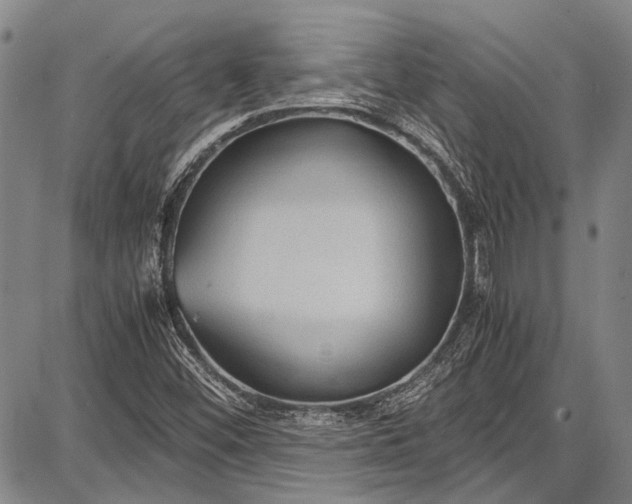 X0000087641452200705181513