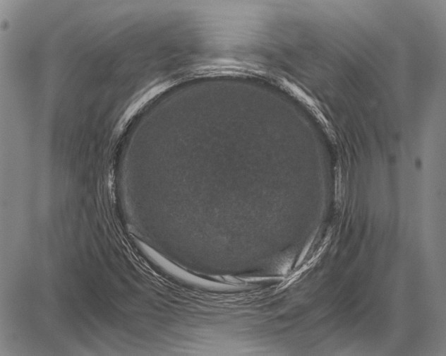 X0000087641453200705181513