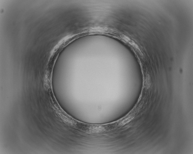 X0000087641454200705181513