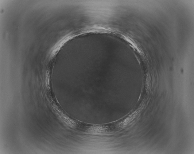 X0000087641455200705181513