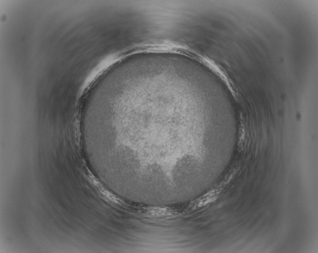 X0000087641456200705181513