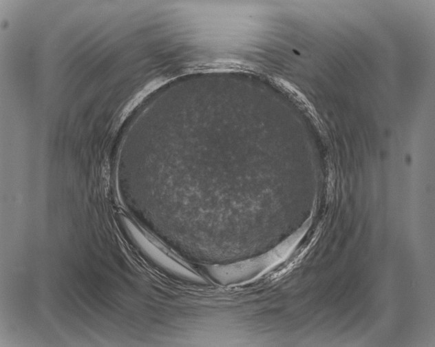 X0000087641457200705181513