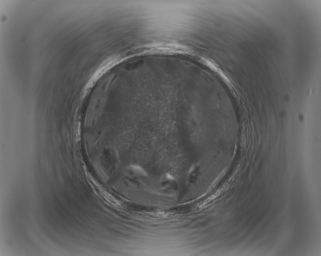 X0000087641459200705181513