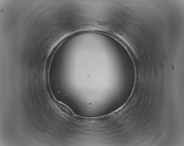 X0000087641460200705181513