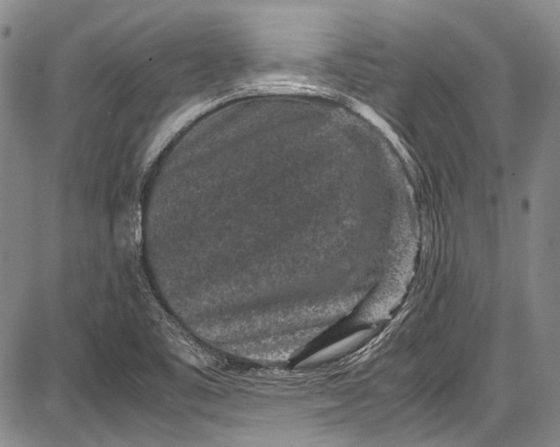 X0000087641461200705181513