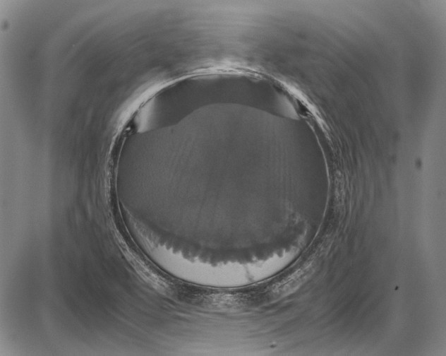 X0000087641463200705181513