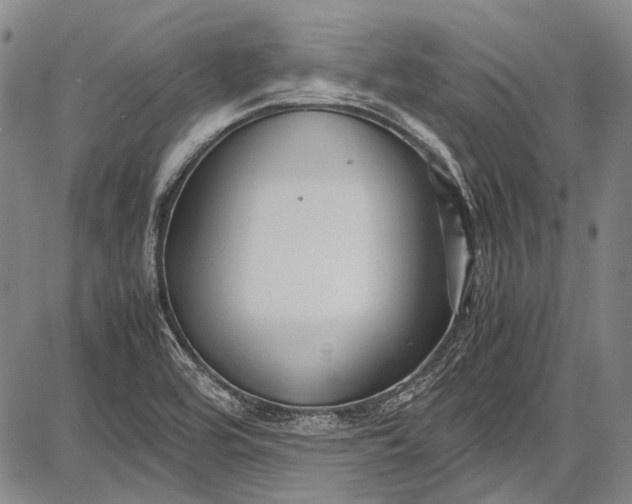 X0000087641464200705181513