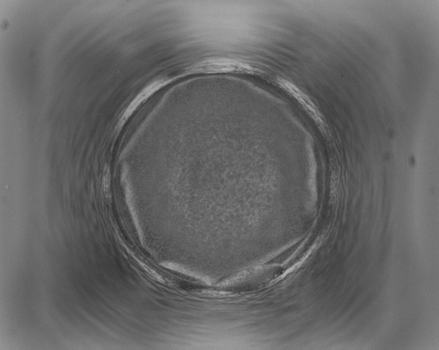 X0000087641465200705181513