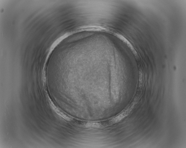 X0000087641466200705181513