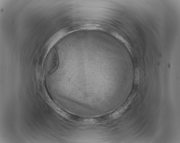 X0000087641467200705181513