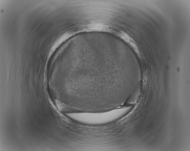 X0000087641469200705181513