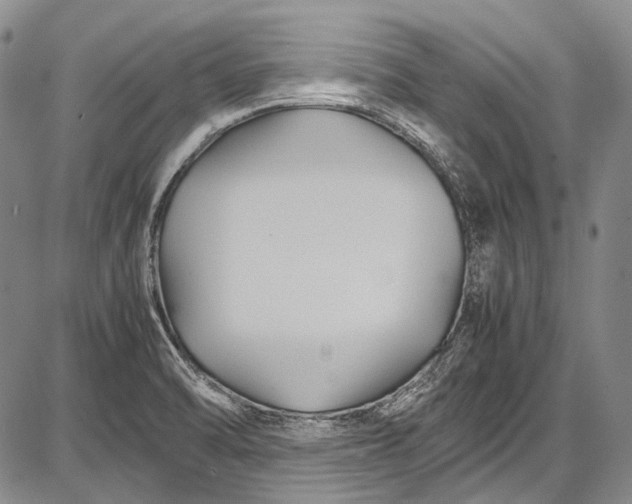 X0000087641470200705181513