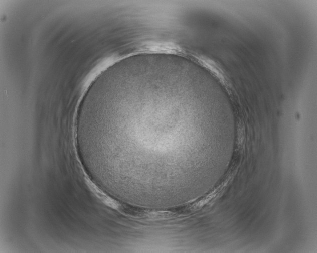 X0000087641471200705181513