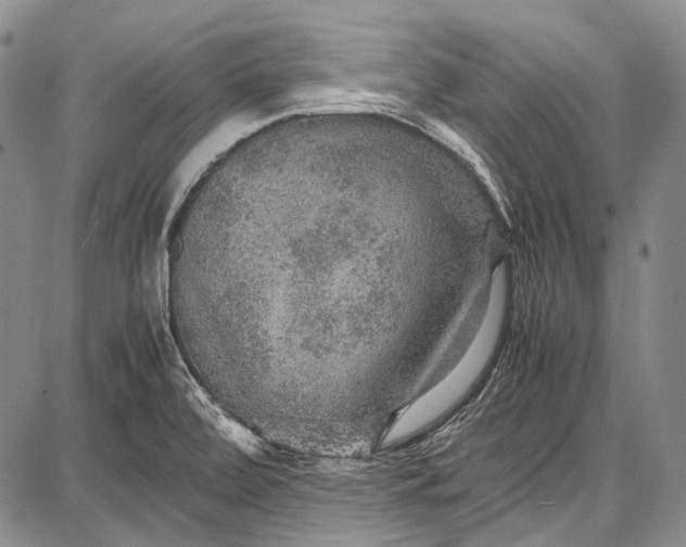 X0000087641472200705181513