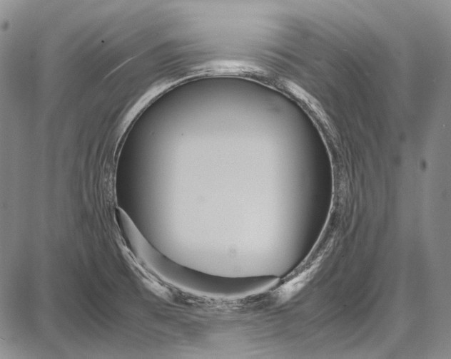 X0000087641473200705181513