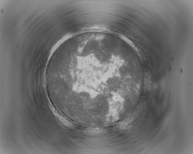 X0000087641474200705181513