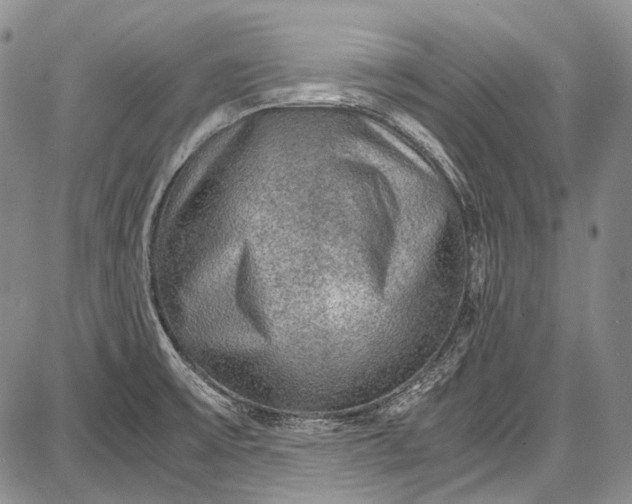 X0000087641475200705181513