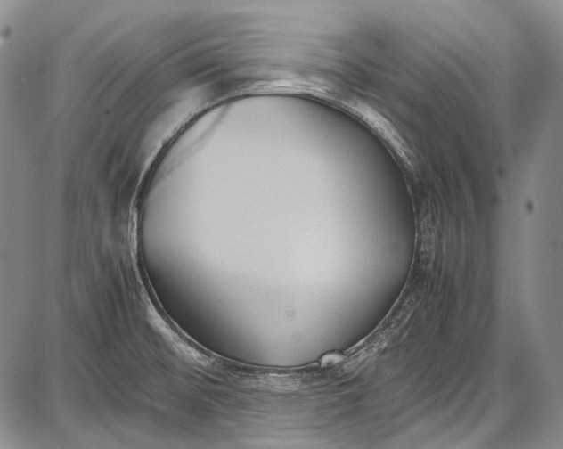 X0000087641476200705181513