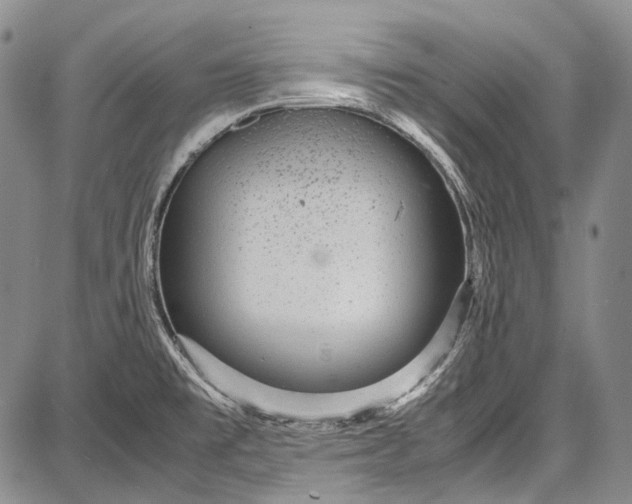 X0000087641477200705181513