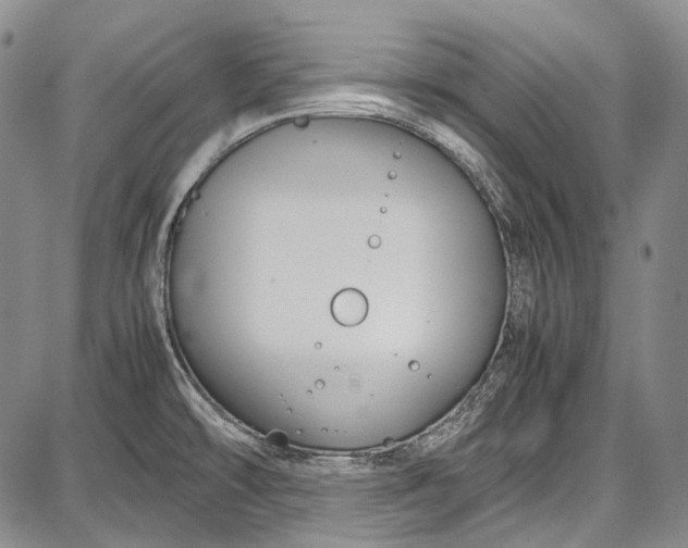 X0000087641478200705181513