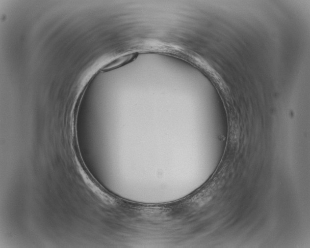 X0000087641479200705181513