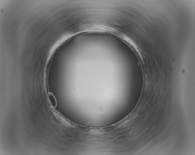 X0000087641480200705181513