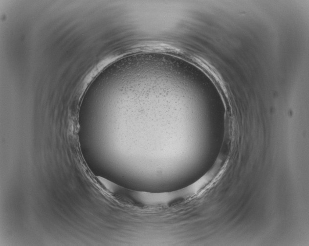 X0000087641481200705181513