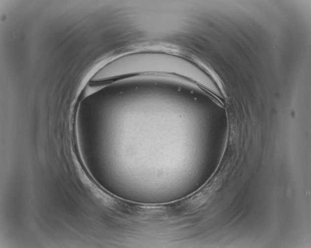 X0000087641483200705181513