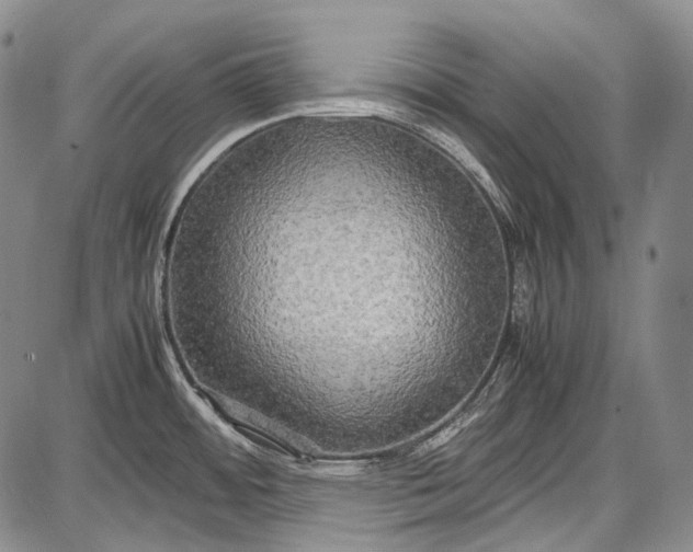 X0000087641484200705181513