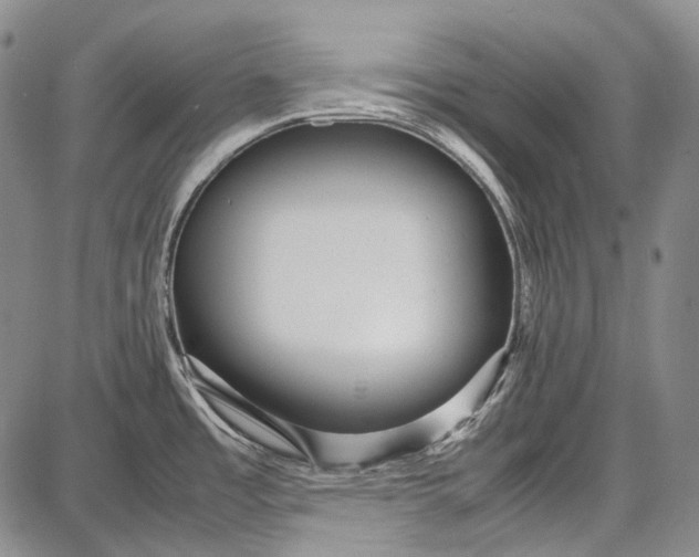 X0000087641485200705181513