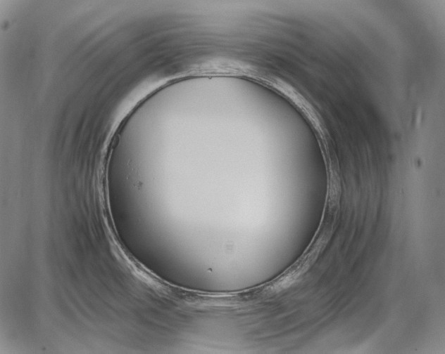 X0000087641486200705181513