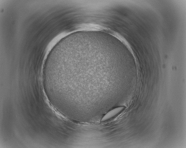 X0000087641488200705181513