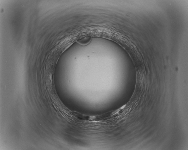 X0000087641489200705181512