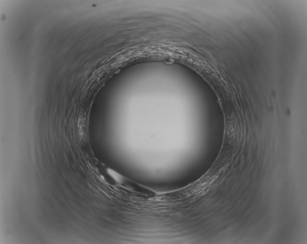 X0000087641490200705181512