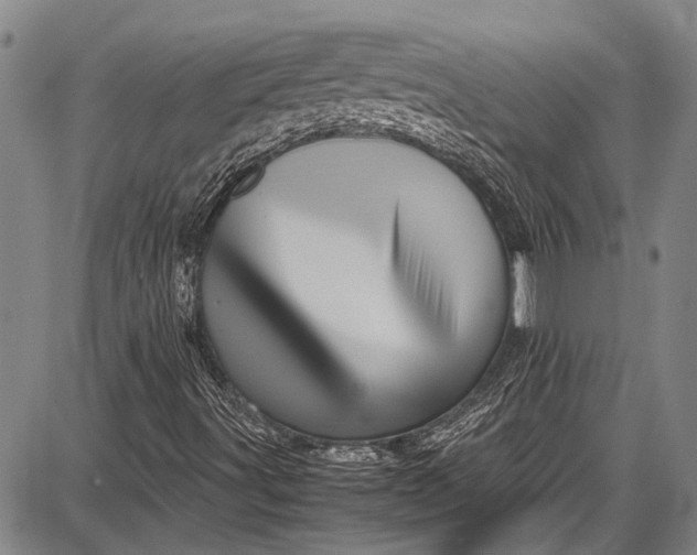 X0000087641491200705181512