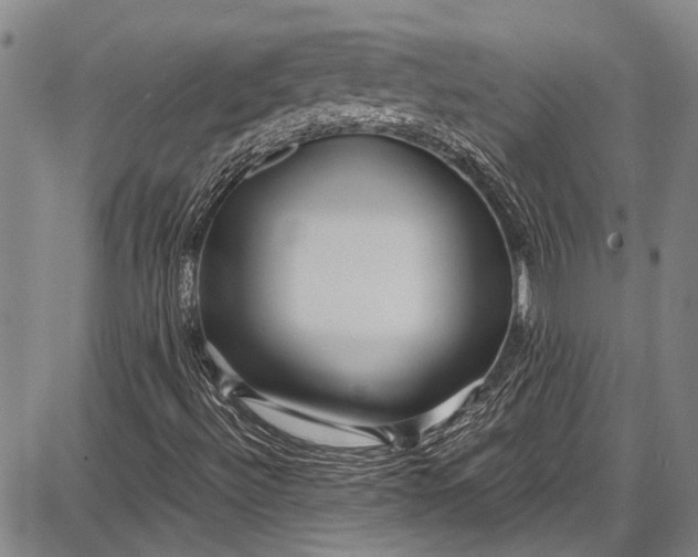 X0000087641492200705181512