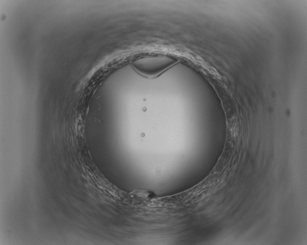 X0000087641495200705181512