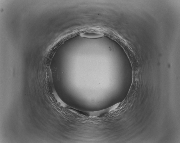 X0000087641496200705181512