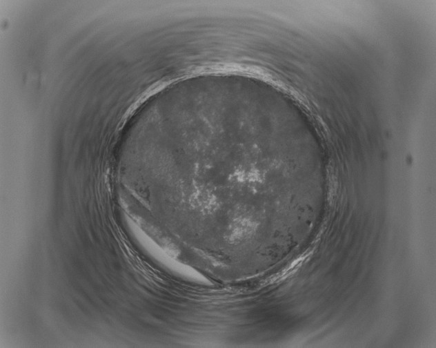 X0000087641497200705181512