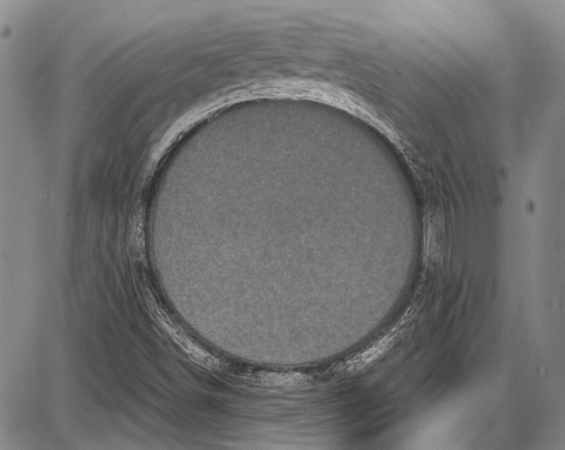 X0000087641498200705181512