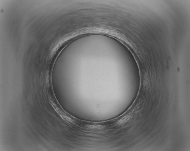 X0000087641499200705181512